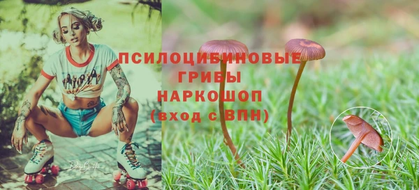 спайс Кукмор