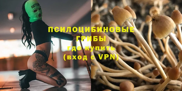 дурь Кулебаки