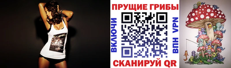 Галлюциногенные грибы GOLDEN TEACHER  Купить где  Пенза 